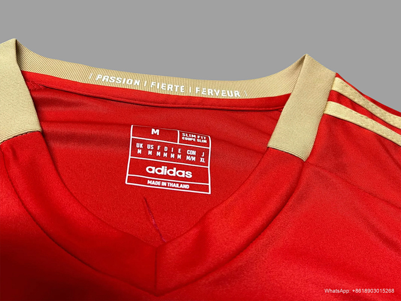 Standard Liege 24/25 Standard Liege Home 4