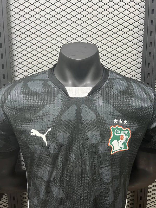 Nazionale Ivory Coast Goalkeeper Player 2