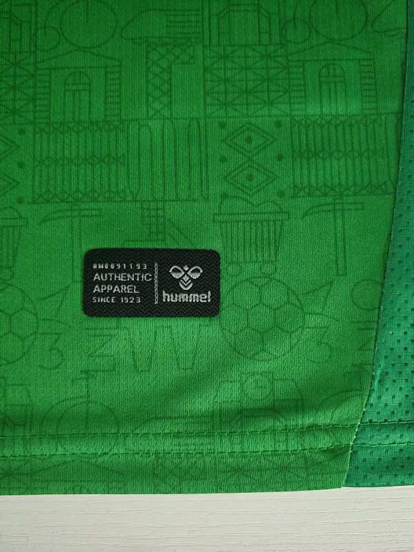 Saint-Etienne Soccer 25/26 Saint-Etienne Home 5