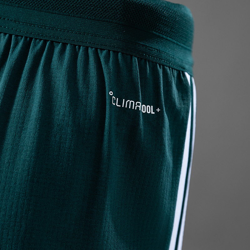 Nazionale Saudi Arabia Home Player Soccer Shorts 2