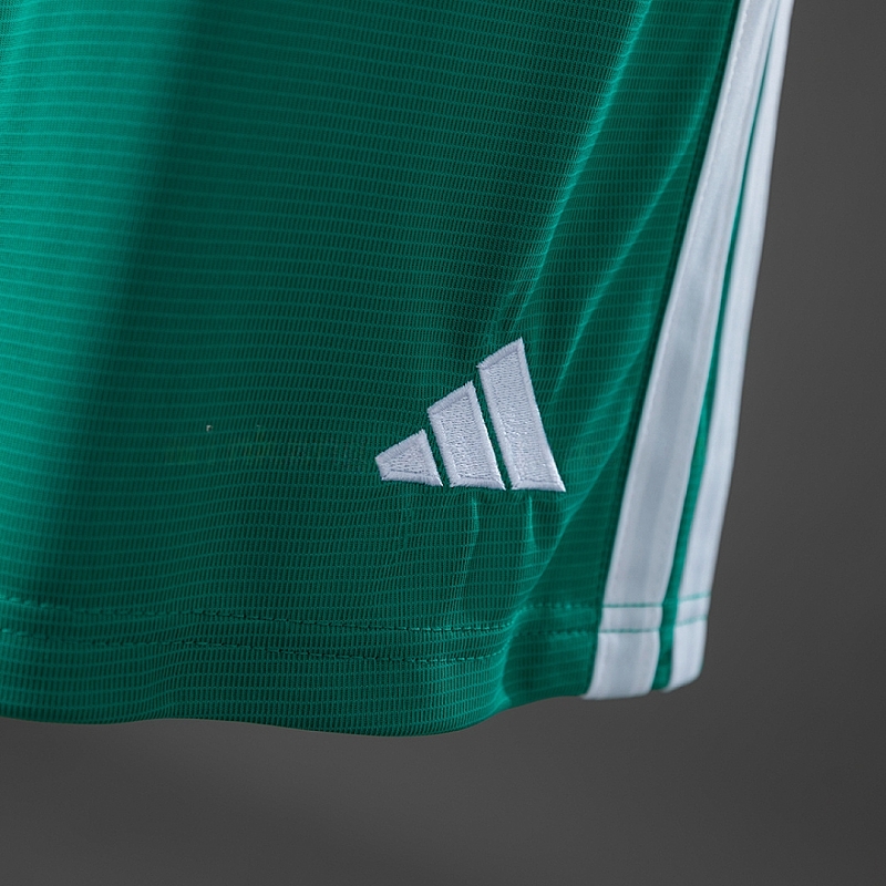 Nazionale Northern Ireland Home Soccer Shorts 7