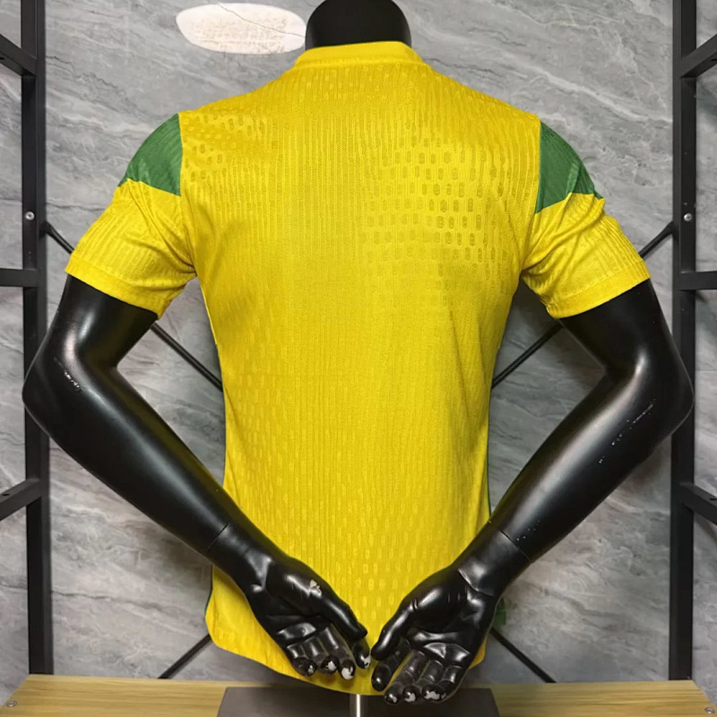 Nazionale Benin Home Player 10