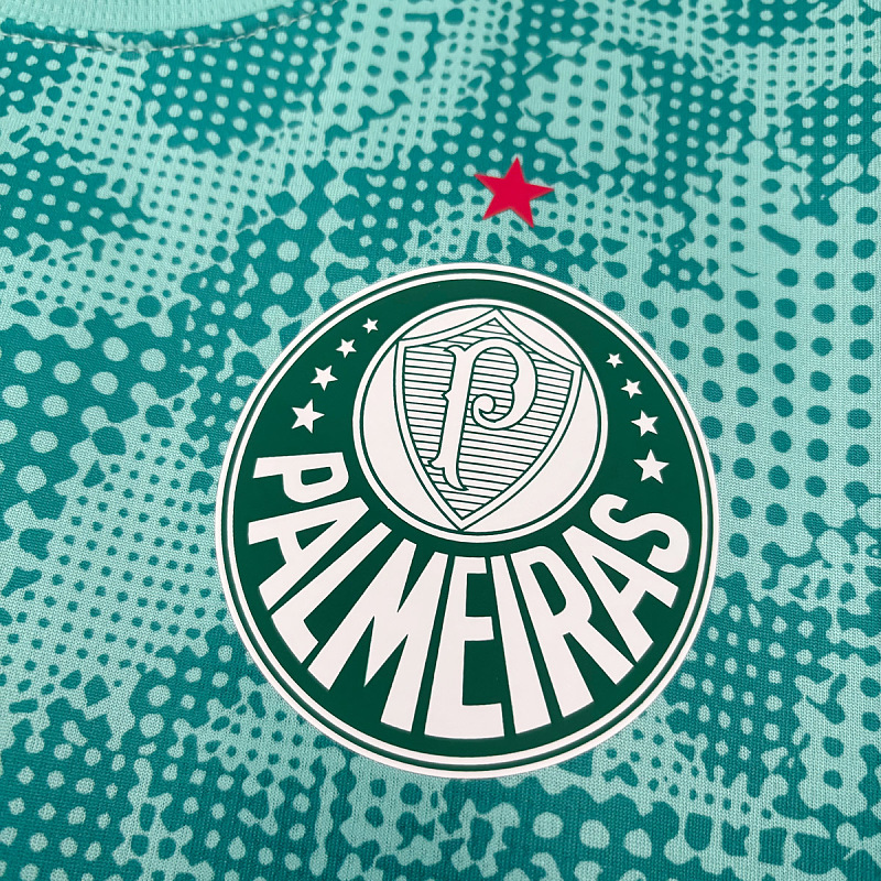Palmeiras Palmeiras Training 3