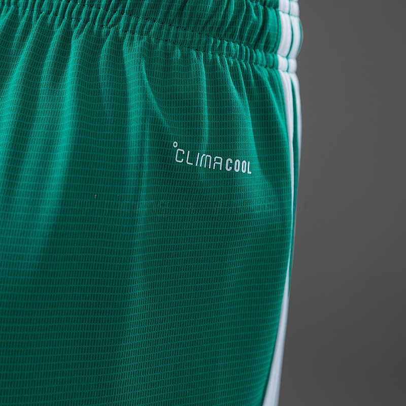 Nazionale Northern Ireland Home Soccer Shorts 4