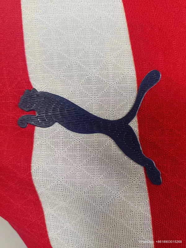 Messico 24/25 Chivas Home Player 6
