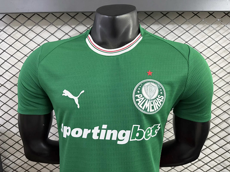 Palmeiras Palmeiras Home Player 6