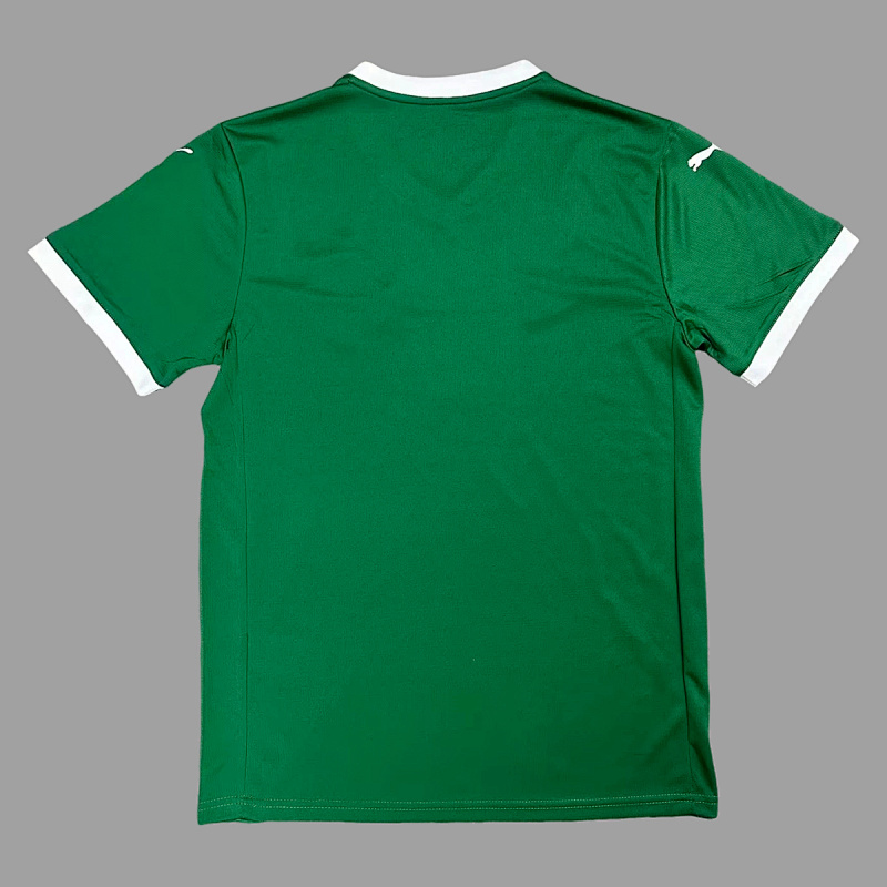 Palmeiras Palmeiras Home 5