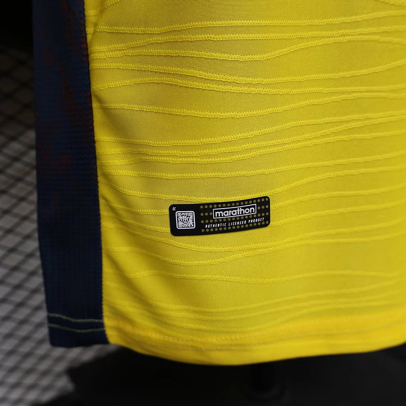 Nazionale Ecuador Home Player 6