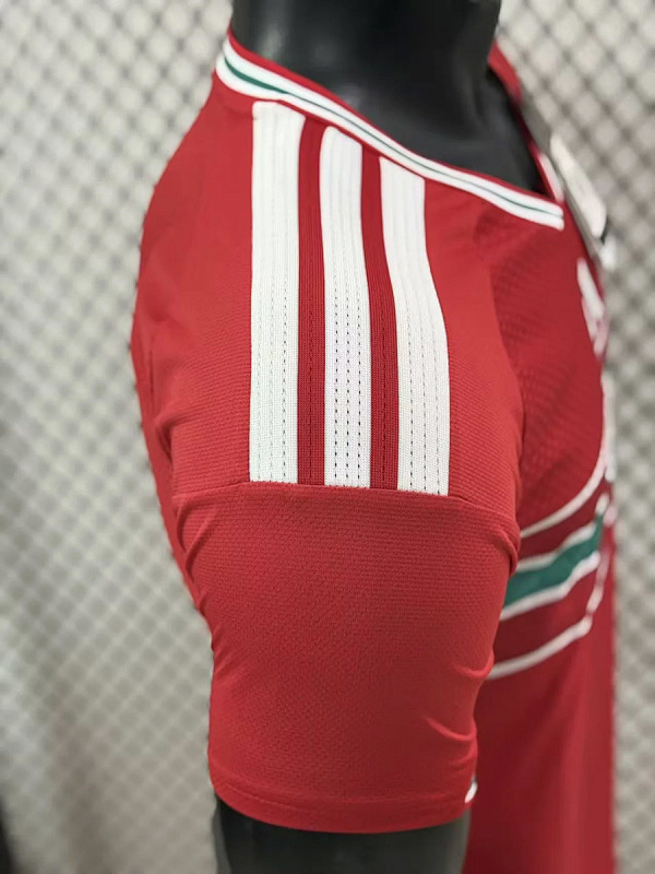 Galles Wales Home Player 3
