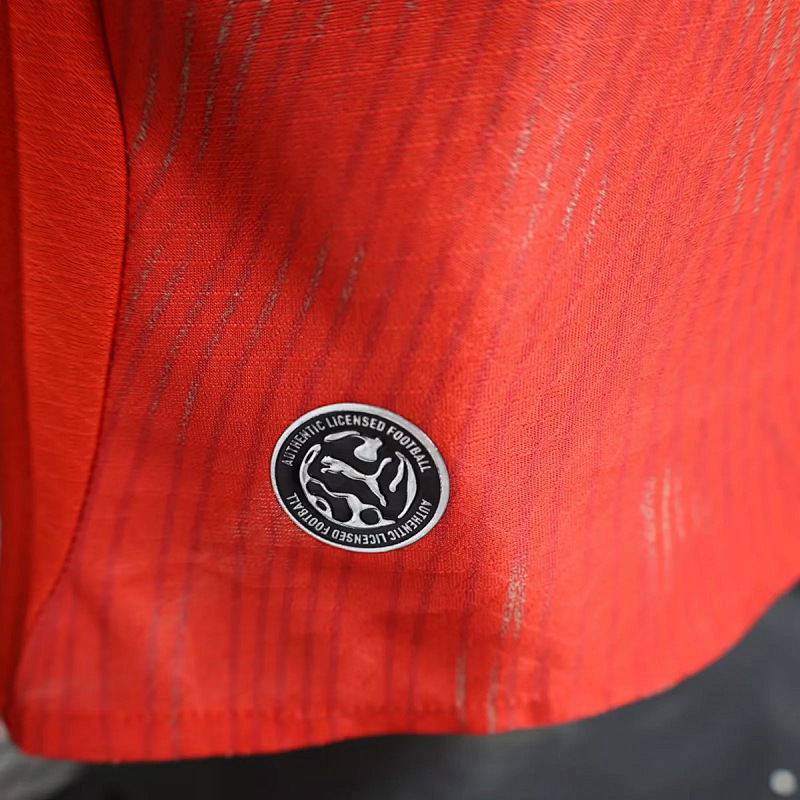 Svizzera Switzerland Home Player 4