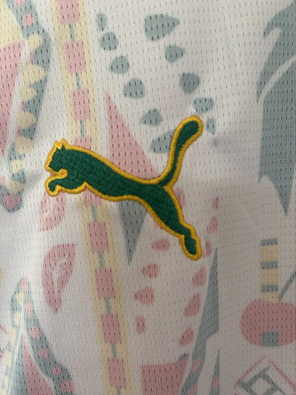 Senegal Senegal Home 3