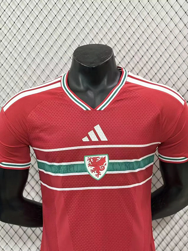 Galles Wales Home Player 2