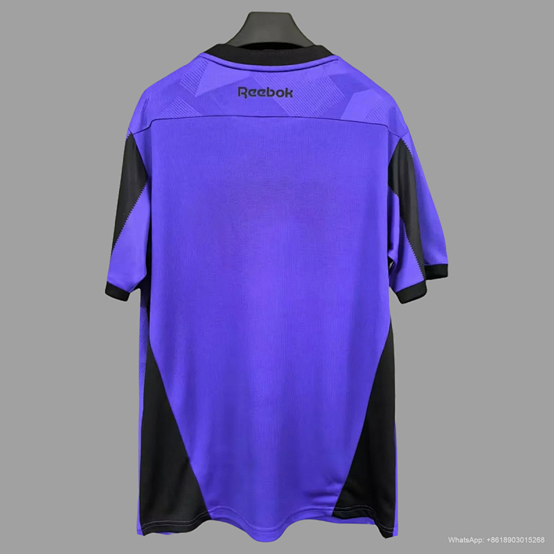 Botafogo 24/25 Botafogo Goalkeeper Purple 2