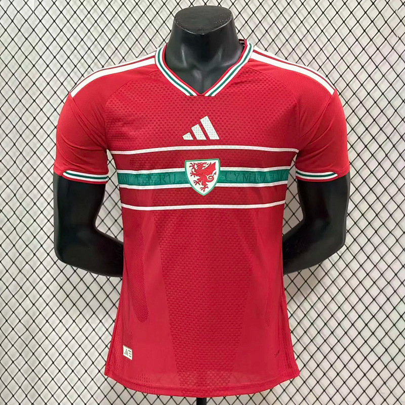 Galles Wales Home Player