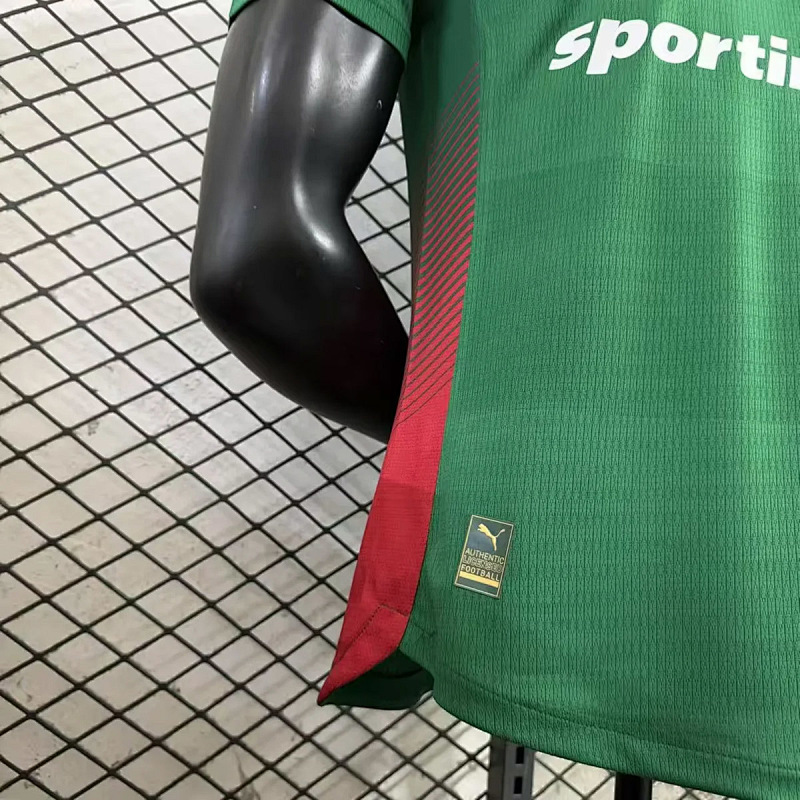 Palmeiras Palmeiras Home Player 3