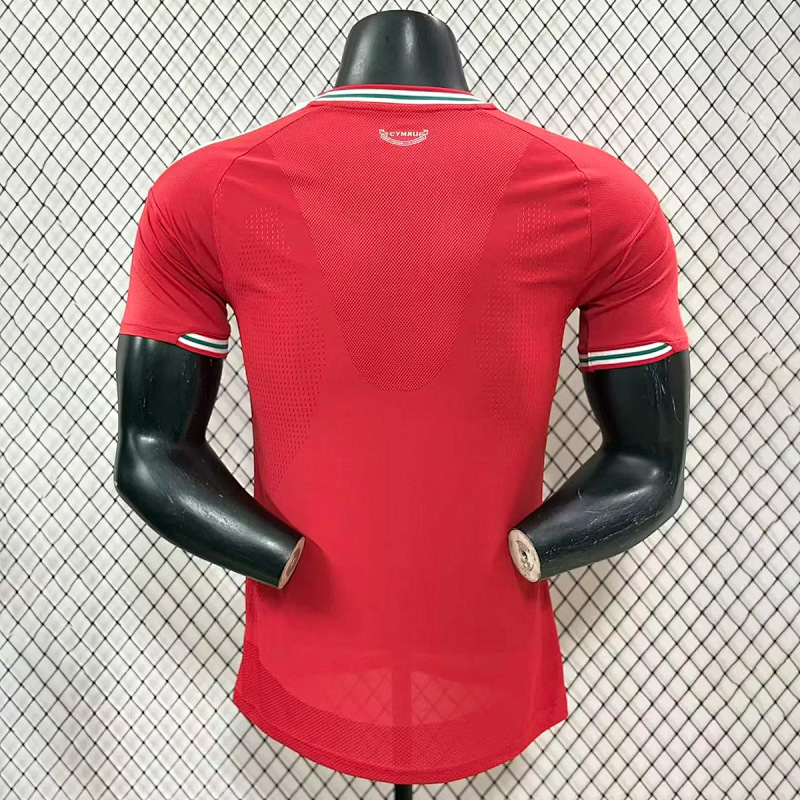 Galles Wales Home Player 8