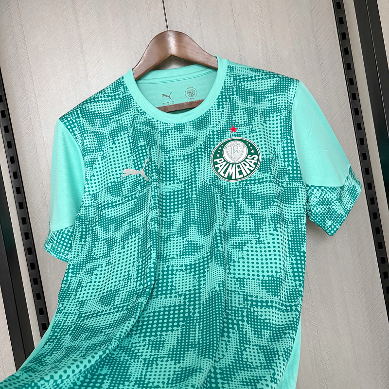 Palmeiras Palmeiras Training 5