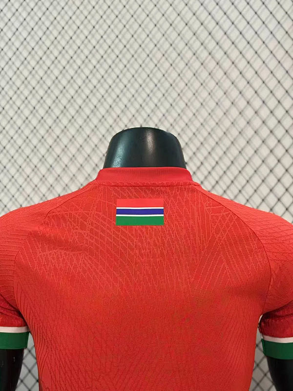 Nazionale Gambia Home Player 2