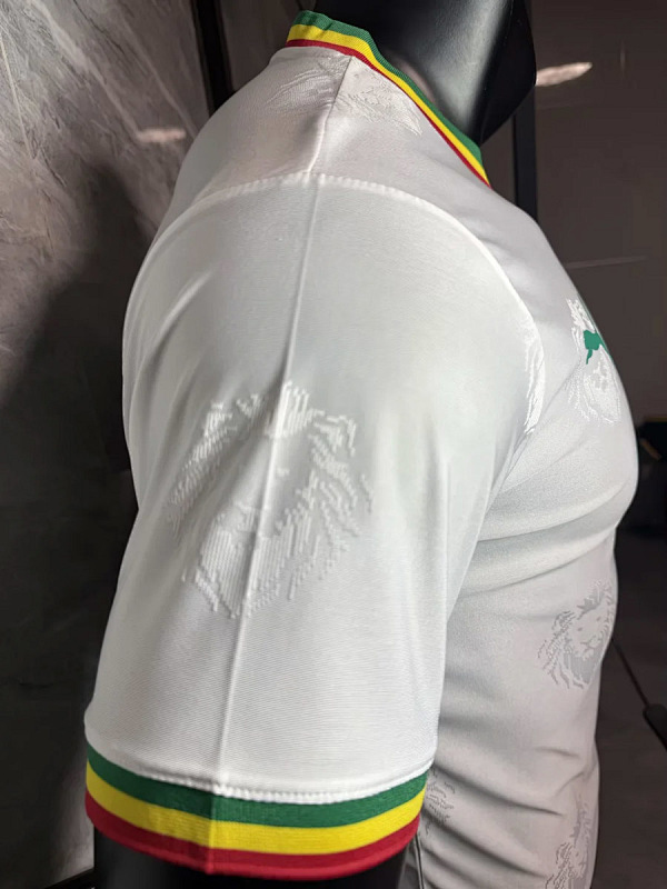 Senegal Senegal Special White Player 6