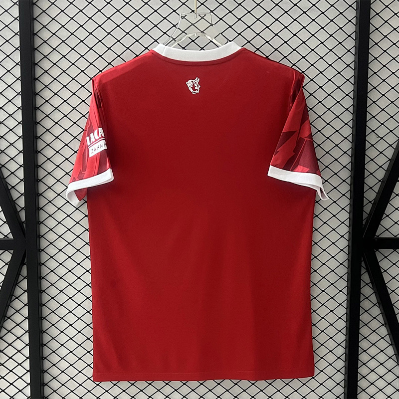 Kaiserslautern Soccer 25/26 Kaiserslautern Home 9