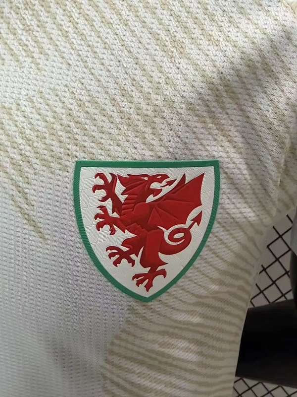 Galles Wales Away Player 5