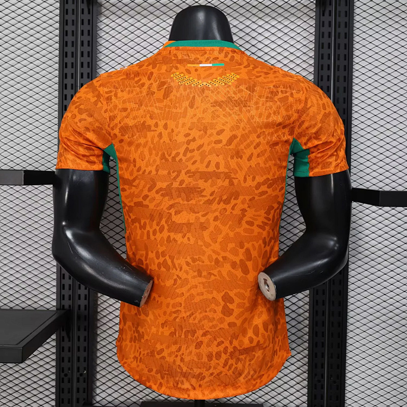 Nazionale Ivory Coast Home Player 11