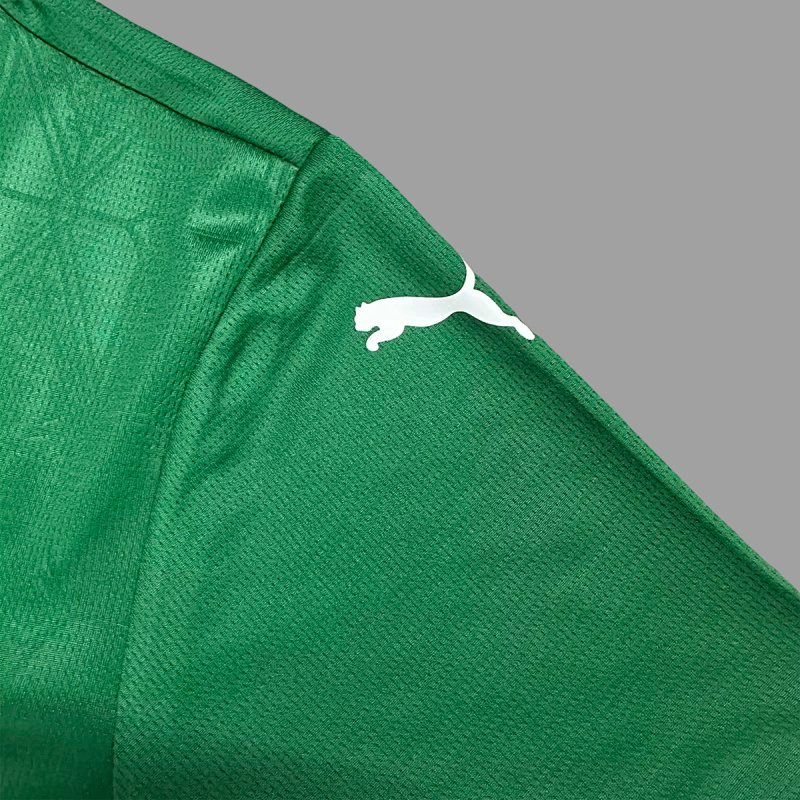 Palmeiras Palmeiras Home 2