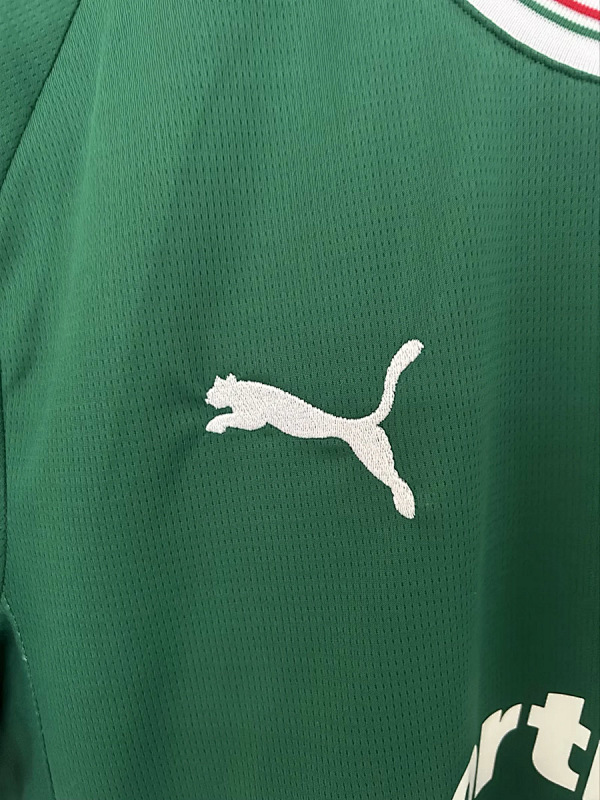 Palmeiras Palmeiras Home 4