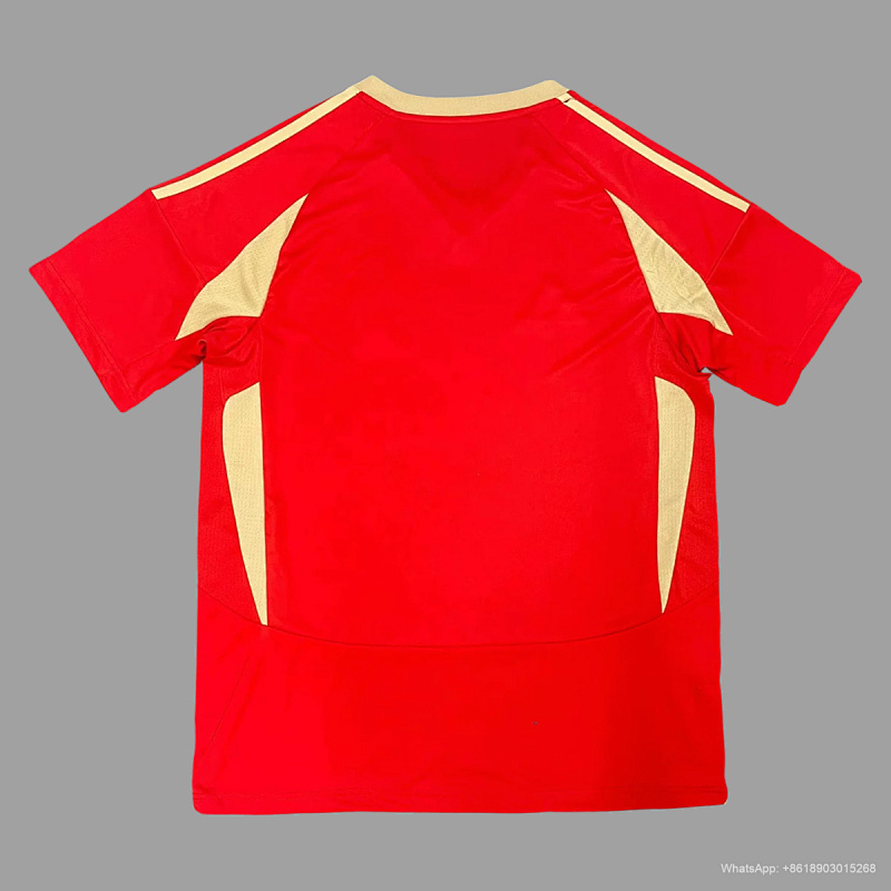 Standard Liege 24/25 Standard Liege Home 6