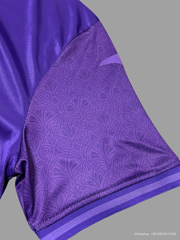 Anderlecht Soccer 24/25 Anderlecht Home 2