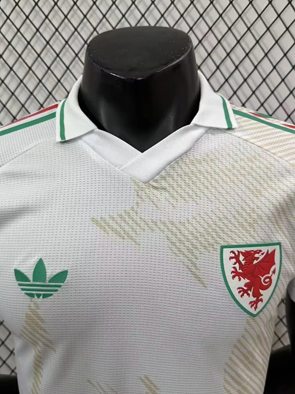 Galles Wales Away Player 3