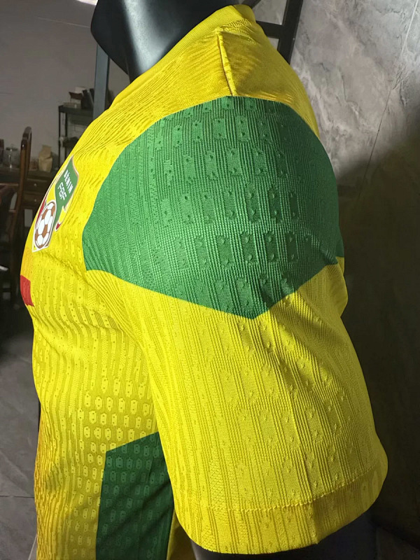 Nazionale Benin Home Player 9