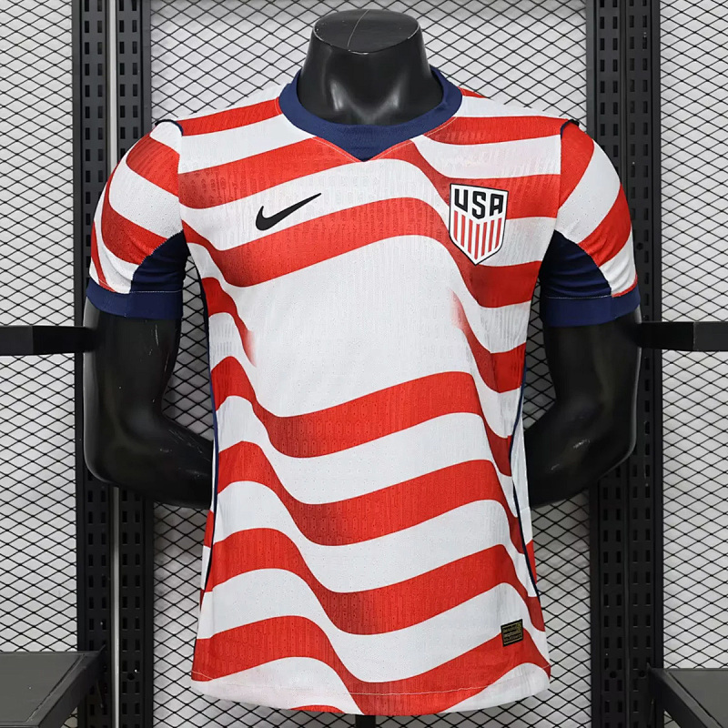 USA USA Home Player