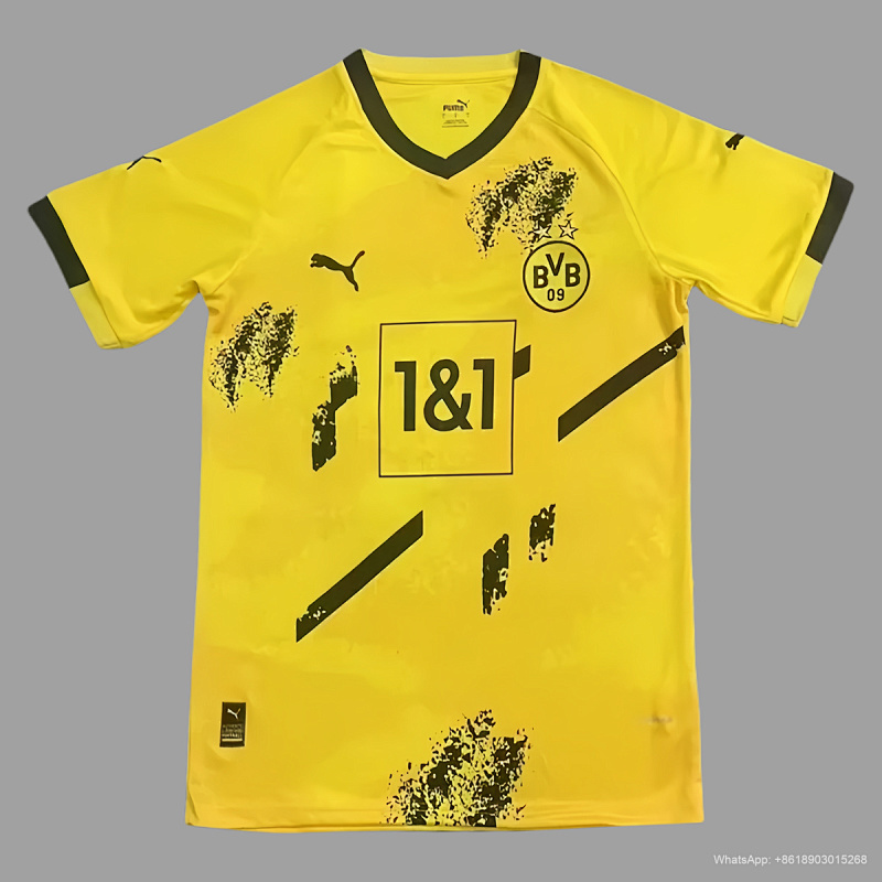 Borussia Dortmund 24/25 Dortmund training