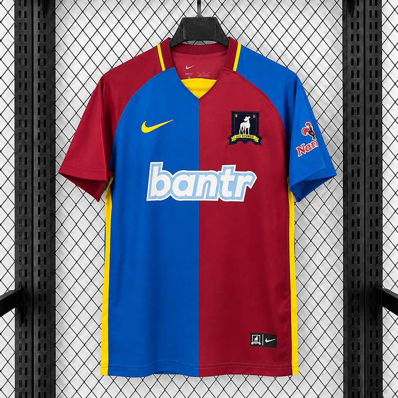 AFC Richmond 24/25 AFC Richmond Home 2
