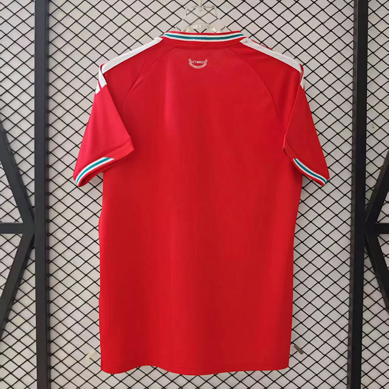 Galles Wales Home 4