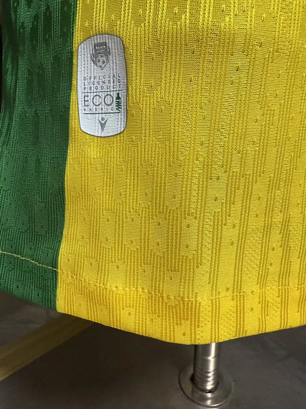 Nazionale Benin Home Player 2