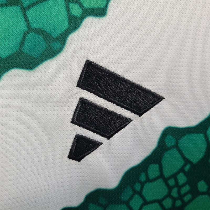 23-24 Celtics 23-24 Celtics home Size S-XXL 2