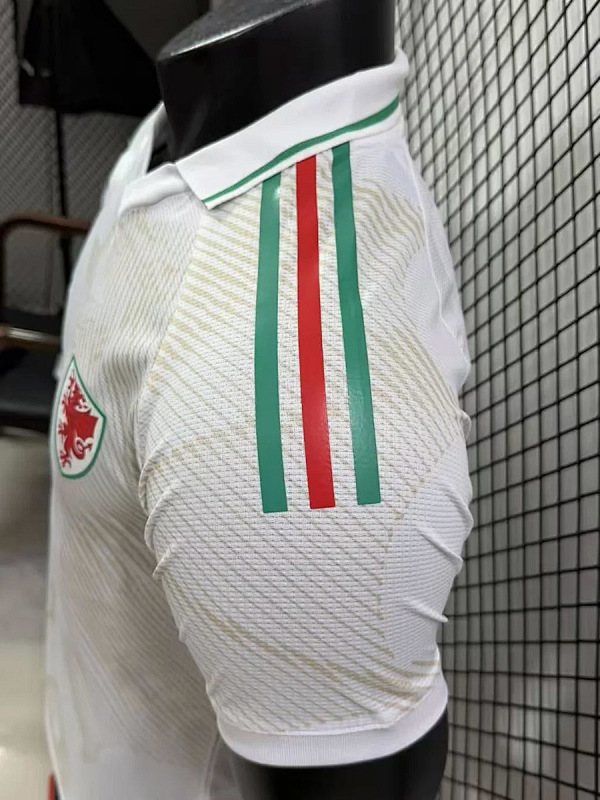 Galles Wales Away Player 7