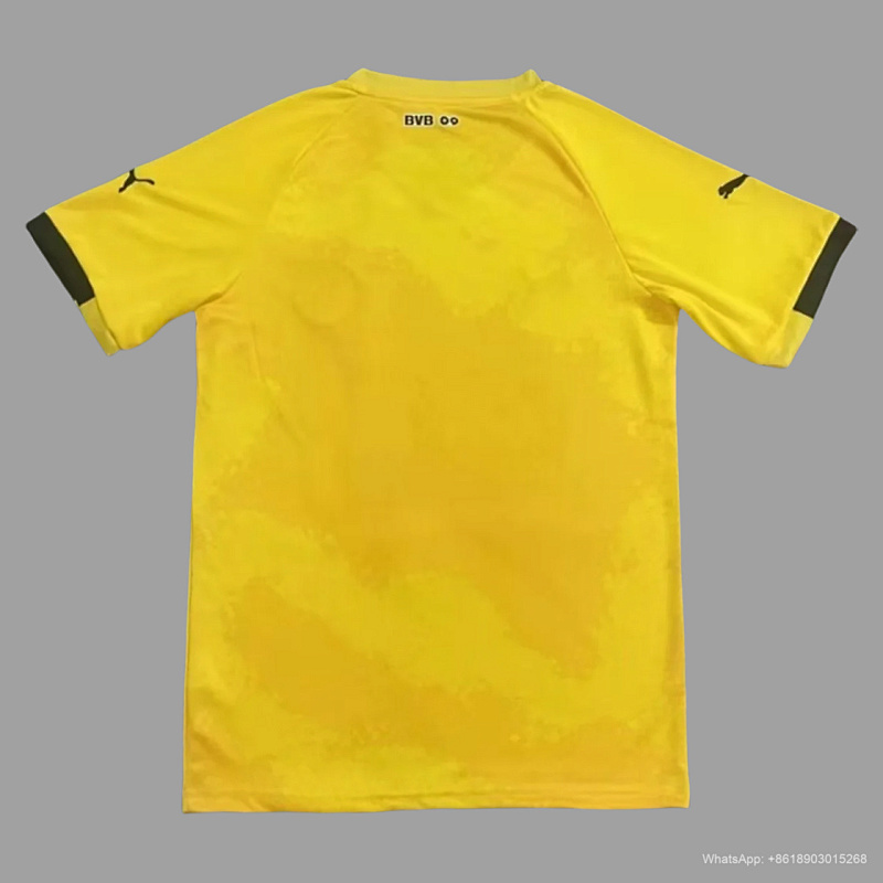 Borussia Dortmund 24/25 Dortmund training 2