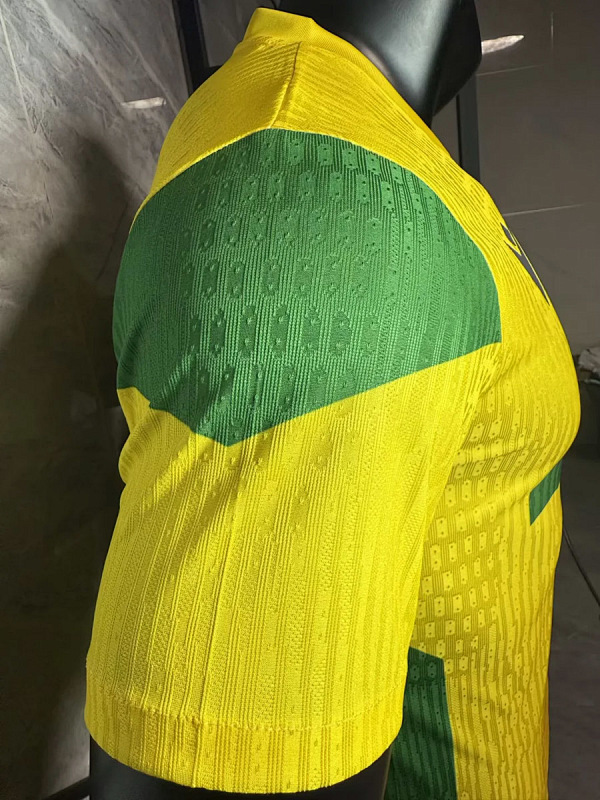 Nazionale Benin Home Player 8