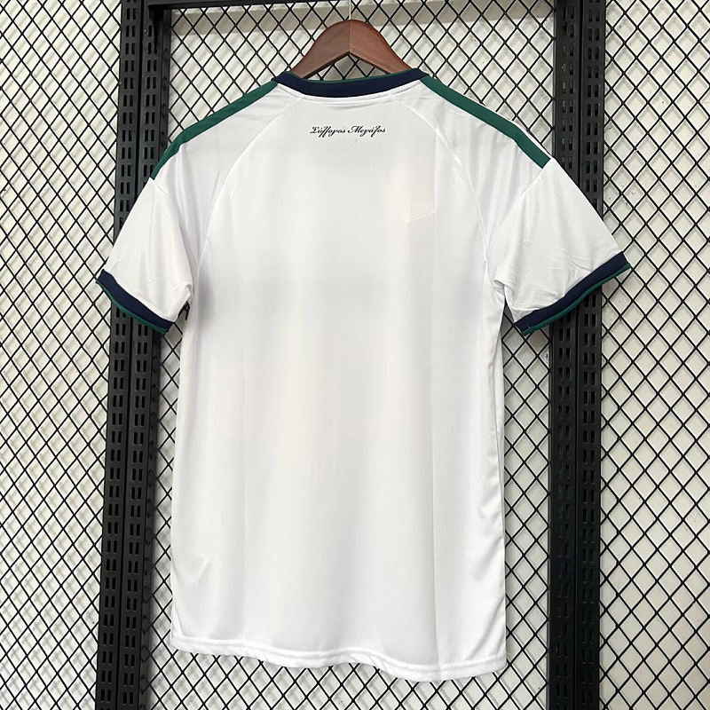 Panathinaikos Soccer 26/27 Panathinaikos Away 3