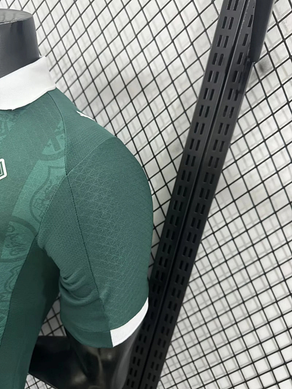 Plymouth Argyle 25/26 Plymouth Argyle Home Player 10