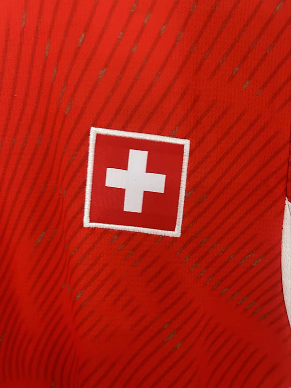 Svizzera Switzerland Home 5