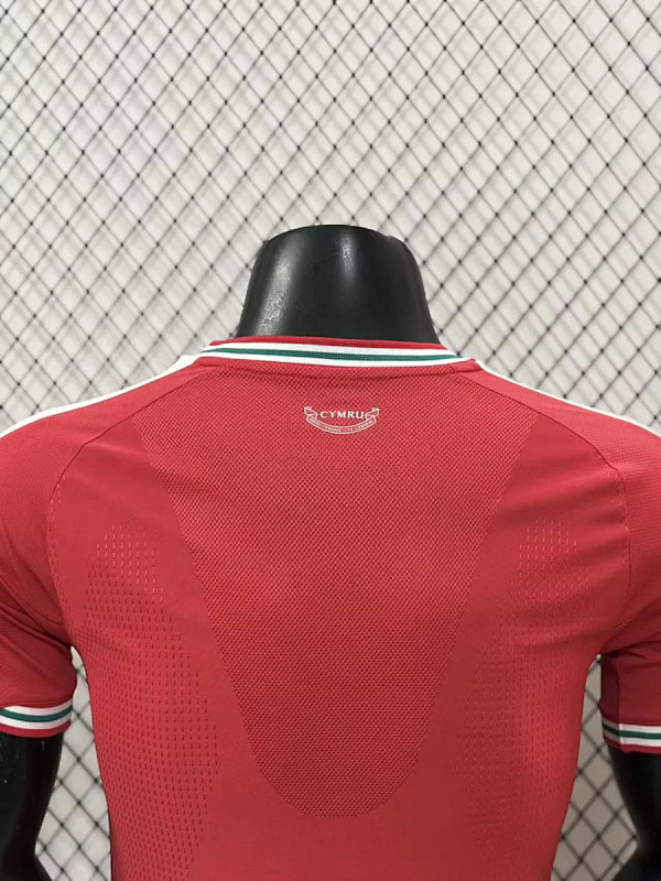 Galles Wales Home Player 7