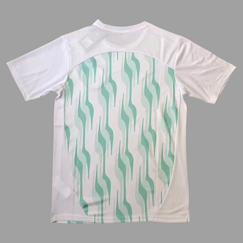 Palmeiras Palmeiras Training Jersey 2