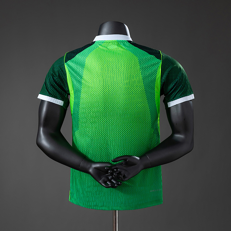 Nigeria 2026 Nigeria 2026 Home Player Jersey S-2XL 2