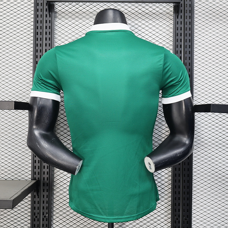 Palmeiras 25/26 Players Palmeiras Home all sponsors S-4XL 8