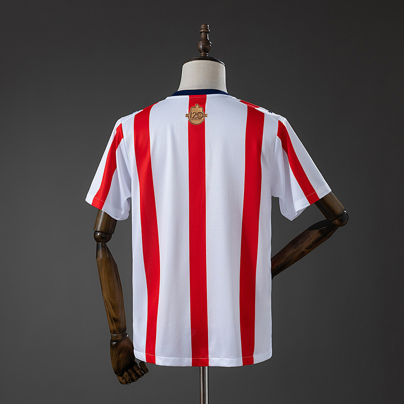 Chivas de Chivas de Guadalajara 120 Aniversario Jersey S-4XL 2