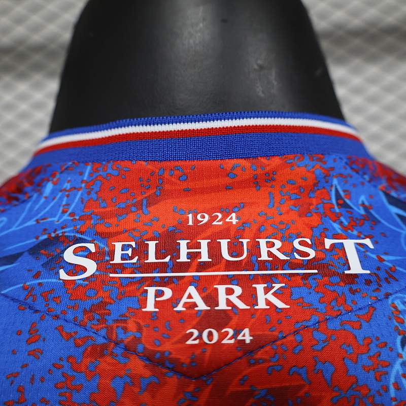 Crystal Palace 24/25 Player Crystal Palace Home S-XXL 10